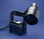 Lamp - 100Watt 110V/60Hz with 8� Cable