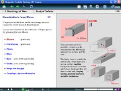 MT - Study of defects